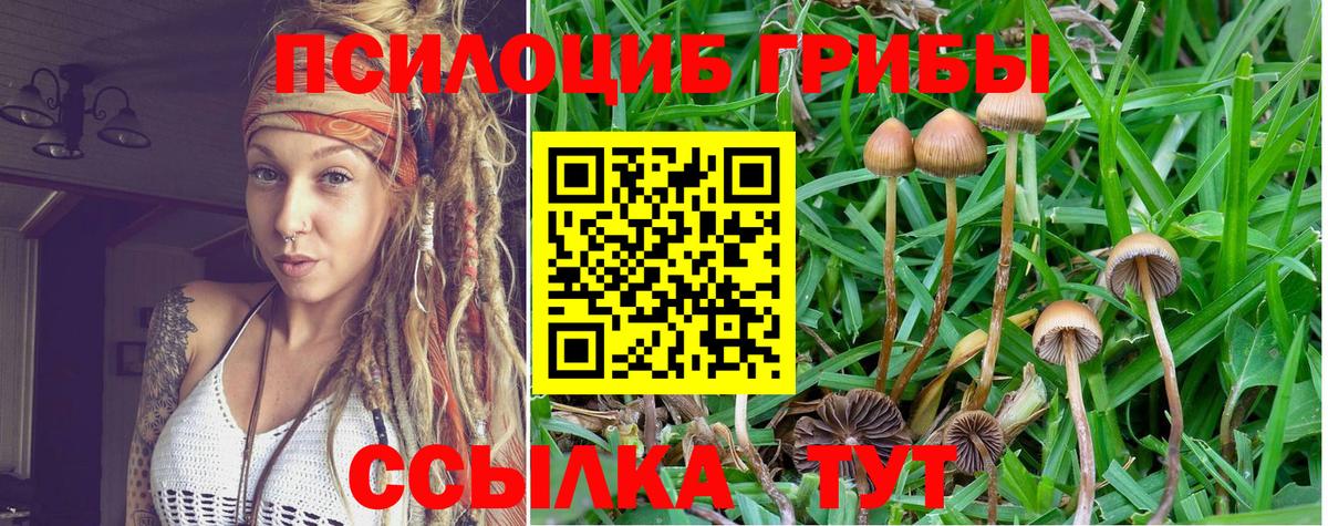 Галлюциногенные грибы Cubensis  Галлюциногенные грибы MAGIC MUSHROOMS  цены наркотик  Серов  Вход с VPN 